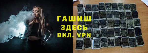 индика Инта