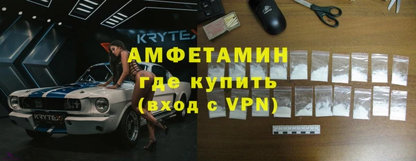 индика Инта