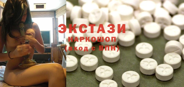 индика Инта