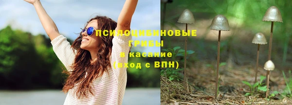 бутират Иннополис