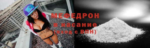 индика Инта