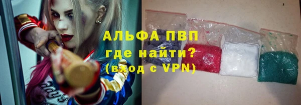 индика Инта