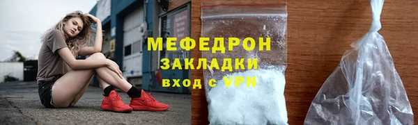 индика Инта