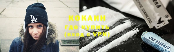 индика Инта