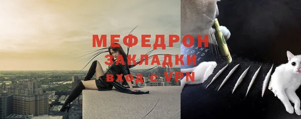 индика Инта