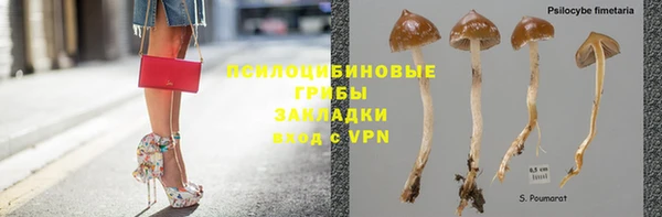 молекула духа Инсар