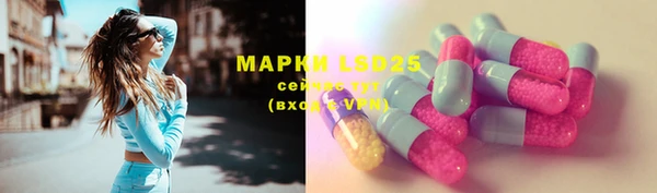 индика Инта