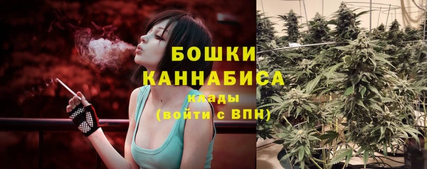 индика Инта