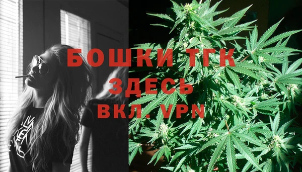 молекула духа Инсар