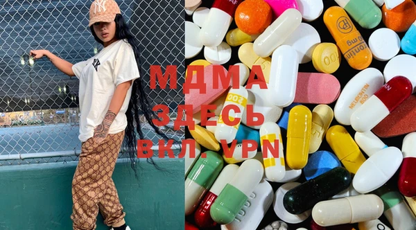 индика Инта