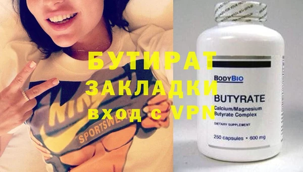 индика Инта