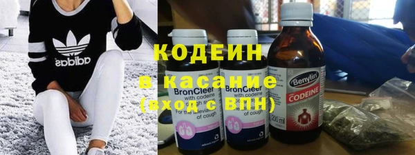 индика Инта